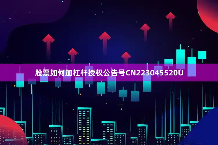 股票如何加杠杆授权公告号CN223045520U