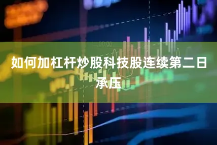 如何加杠杆炒股科技股连续第二日承压