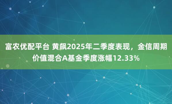 富农优配平台 黄飙2025年二季度表现，金信周期价值混合A基金季度涨幅12.33%