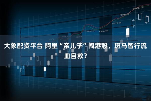 大象配资平台 阿里“亲儿子”闯港股，斑马智行流血自救？